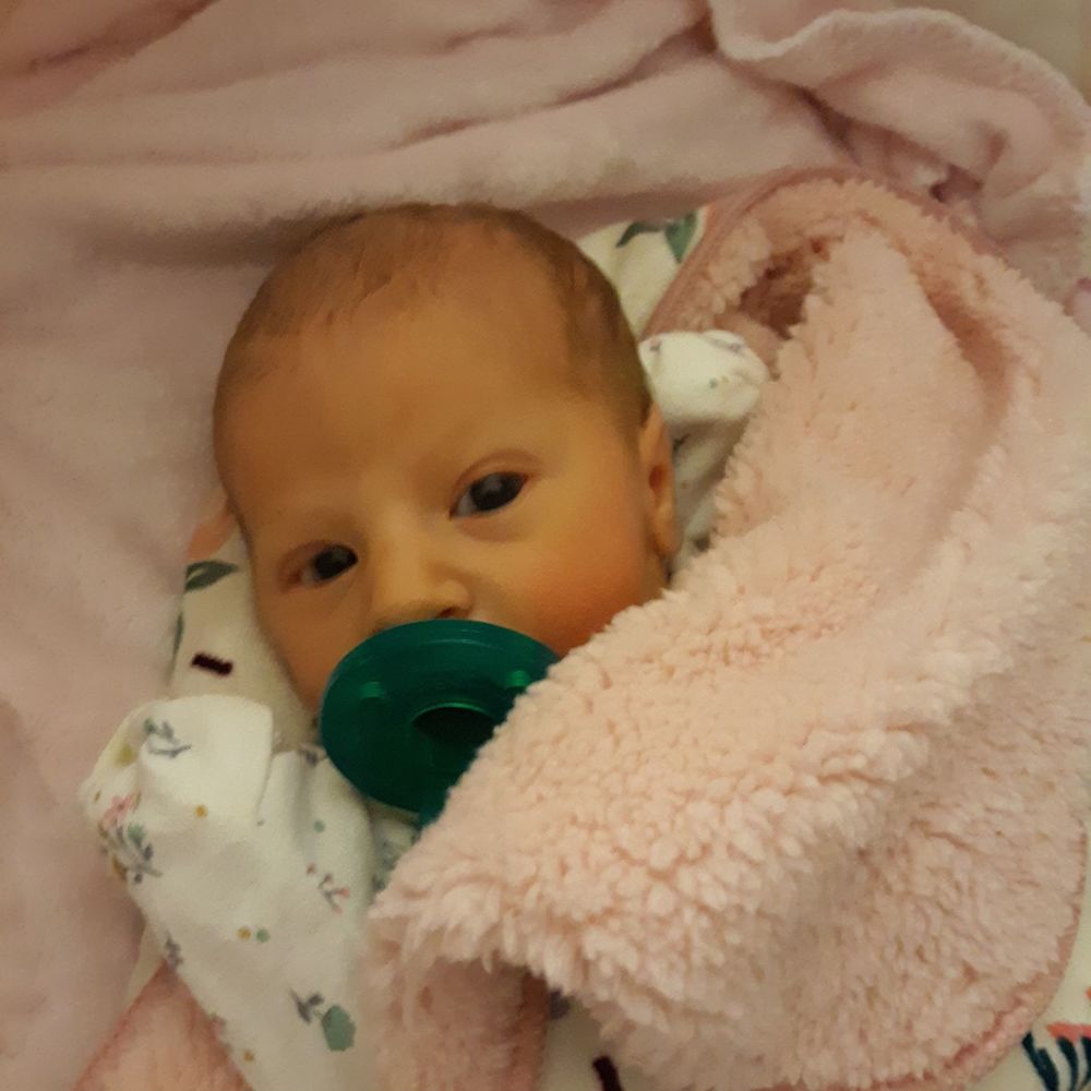 Meet your Posher, Ashly